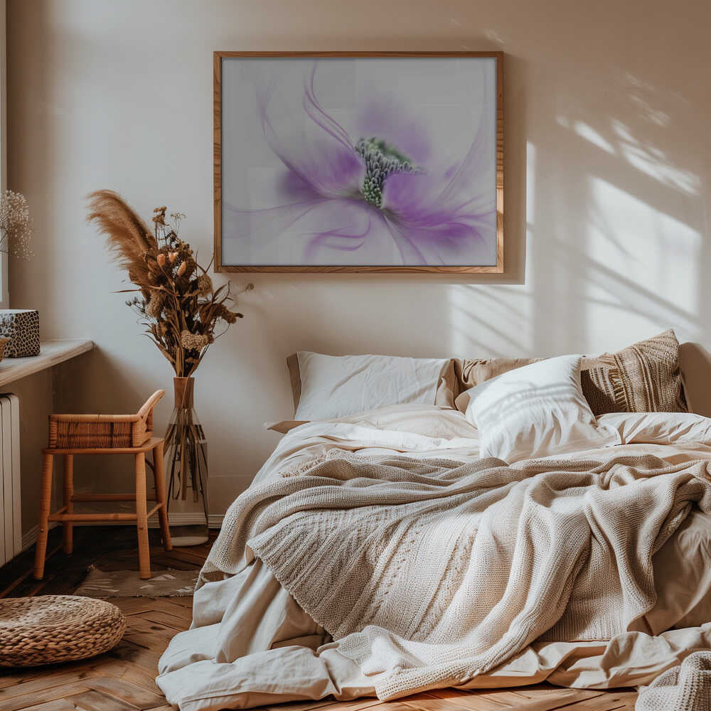 Soft Purple Bloom - Floral Photographic Stretched Canvas Poster or Fine Art Print