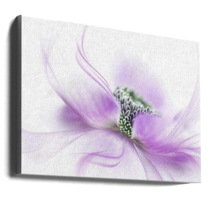 Soft Purple Bloom - Floral Photographic Stretched Canvas Poster or Fine Art Print