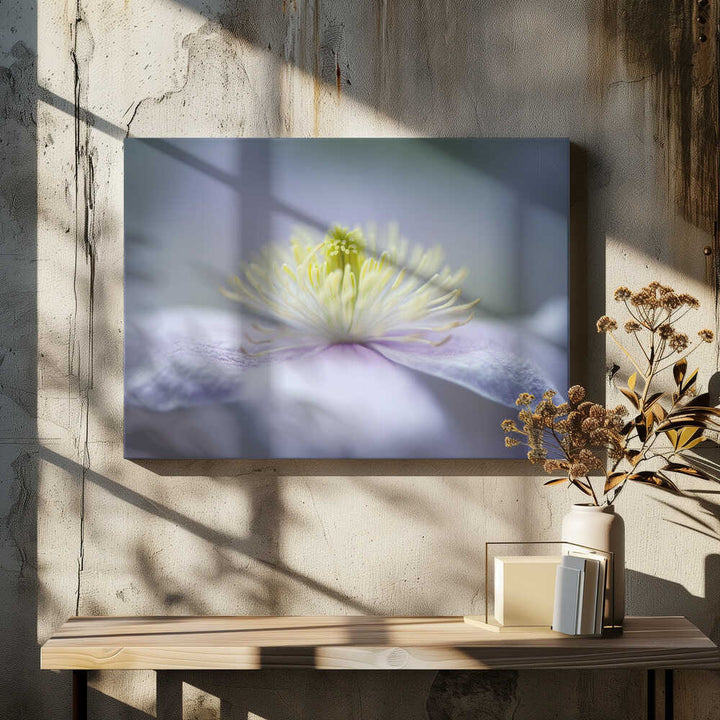Soft Purple Flower - Floral Photographic Stretched Canvas Poster or Fine Art Print