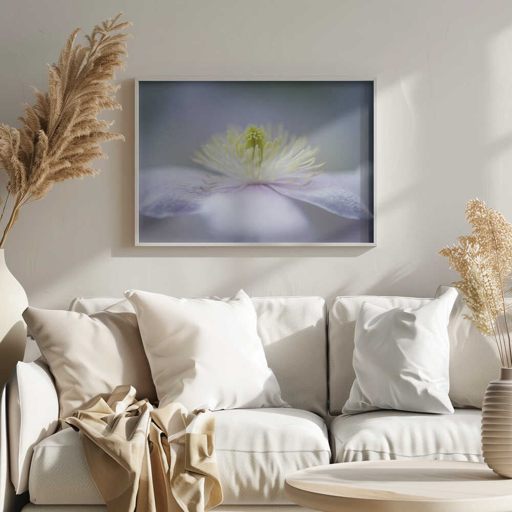 Soft Purple Flower - Floral Photographic Stretched Canvas Poster or Fine Art Print