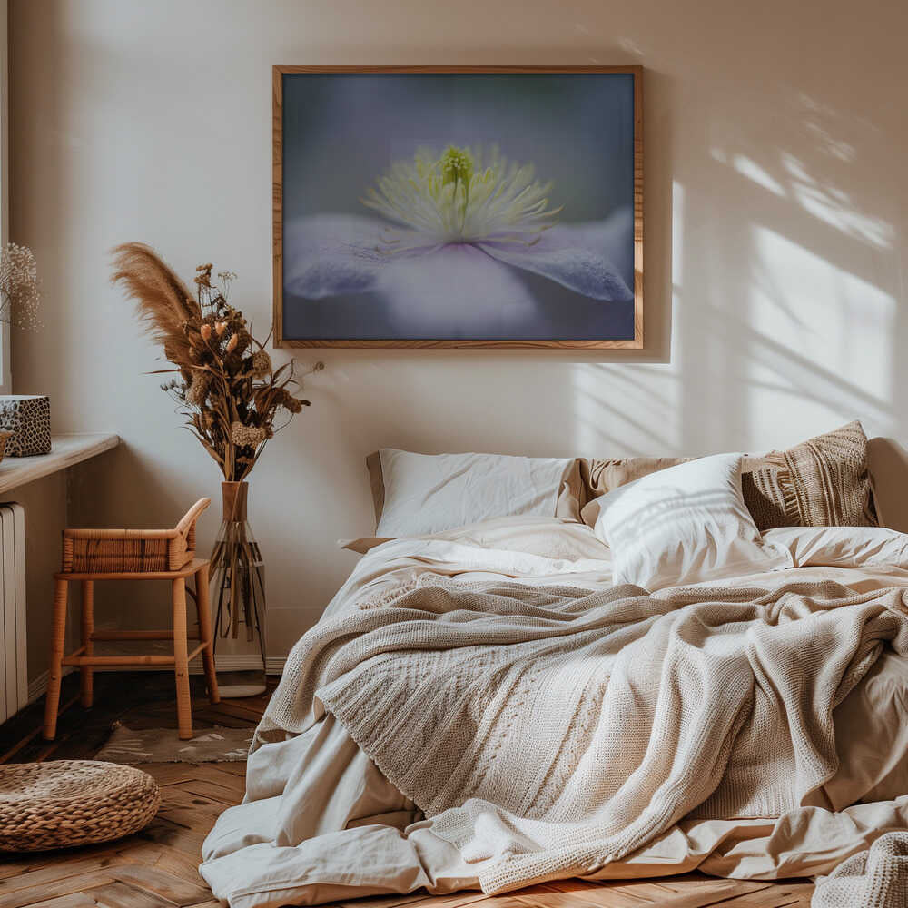 Soft Purple Flower - Floral Photographic Stretched Canvas Poster or Fine Art Print