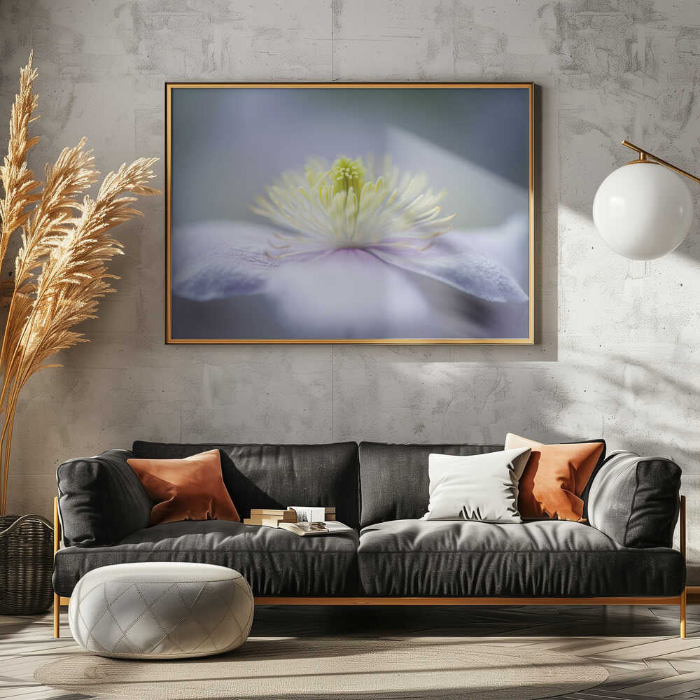 Soft Purple Flower - Floral Photographic Stretched Canvas Poster or Fine Art Print