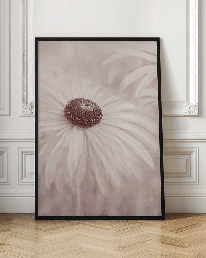 Soft Sepia Flower - Floral Photographic Stretched Canvas Poster or Fine Art Print