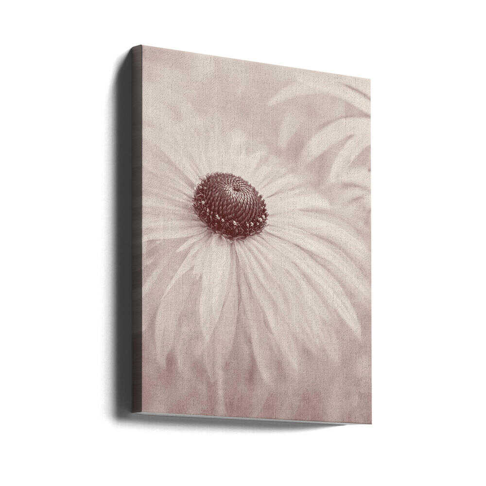 Soft Sepia Flower - Floral Photographic Stretched Canvas Poster or Fine Art Print
