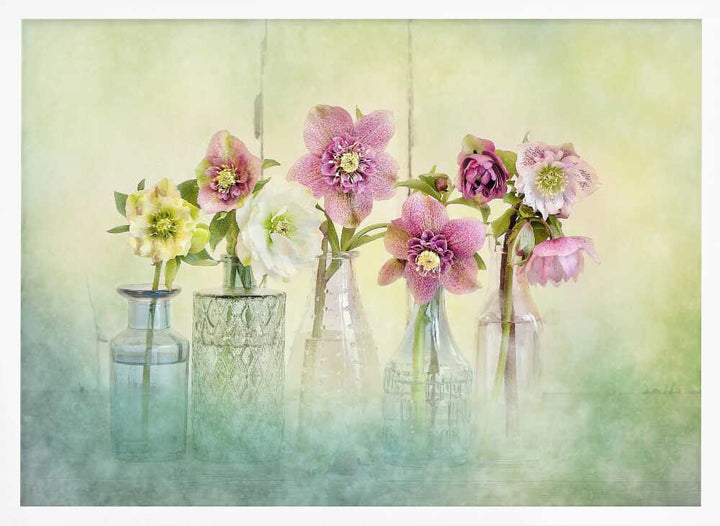 Soft Spring Blooms - Floral Photographic Stretched Canvas Poster or Fine Art Print
