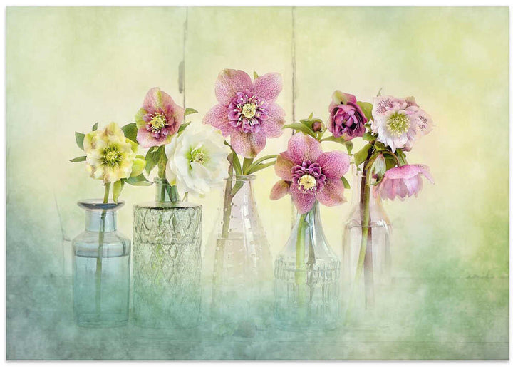 Soft Spring Blooms - Floral Photographic Stretched Canvas Poster or Fine Art Print
