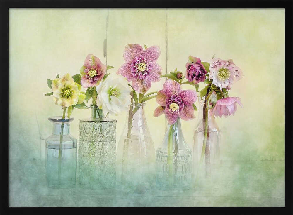 Soft Spring Blooms - Floral Photographic Stretched Canvas Poster or Fine Art Print