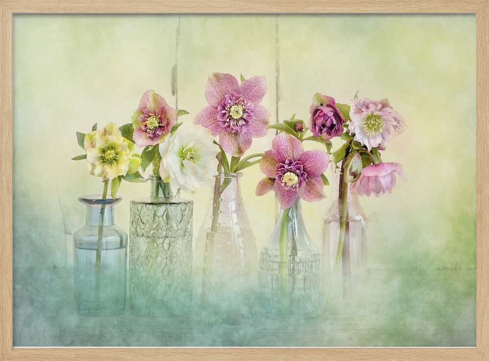 Soft Spring Blooms - Floral Photographic Stretched Canvas Poster or Fine Art Print