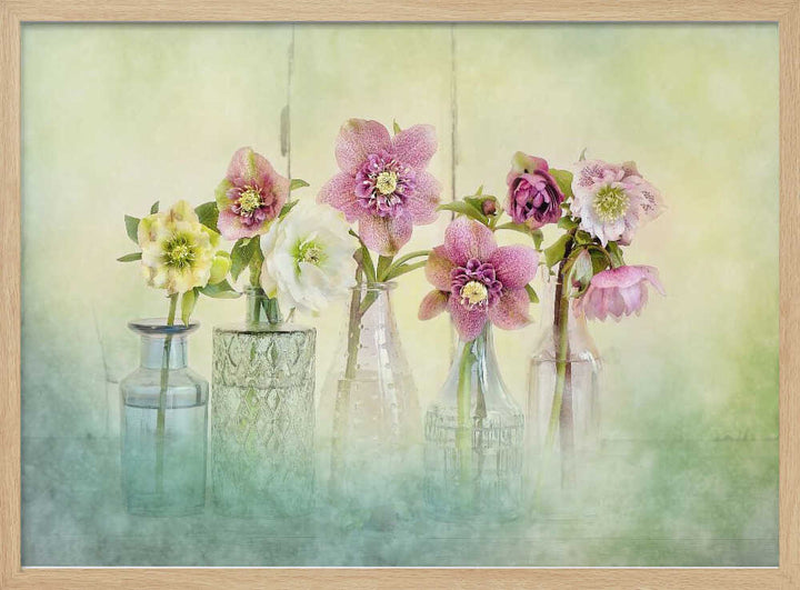 Soft Spring Blooms - Floral Photographic Stretched Canvas Poster or Fine Art Print