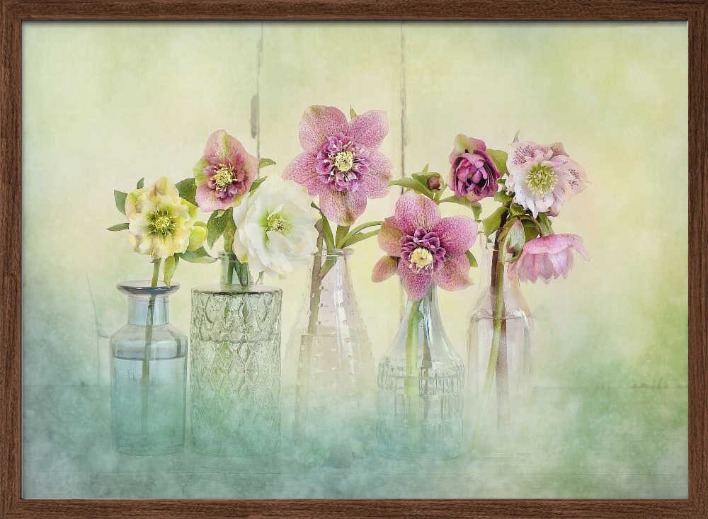 Soft Spring Blooms - Floral Photographic Stretched Canvas Poster or Fine Art Print