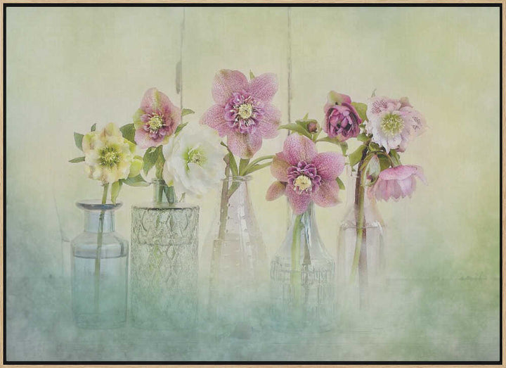 Soft Spring Blooms - Floral Photographic Stretched Canvas Poster or Fine Art Print