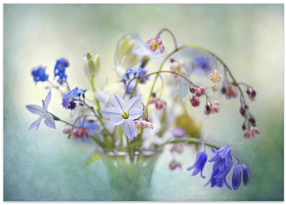 Soft Spring Bouquet - Stretched Canvas Poster or Fine Art Print
