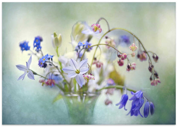Soft Spring Bouquet - Stretched Canvas Poster or Fine Art Print
