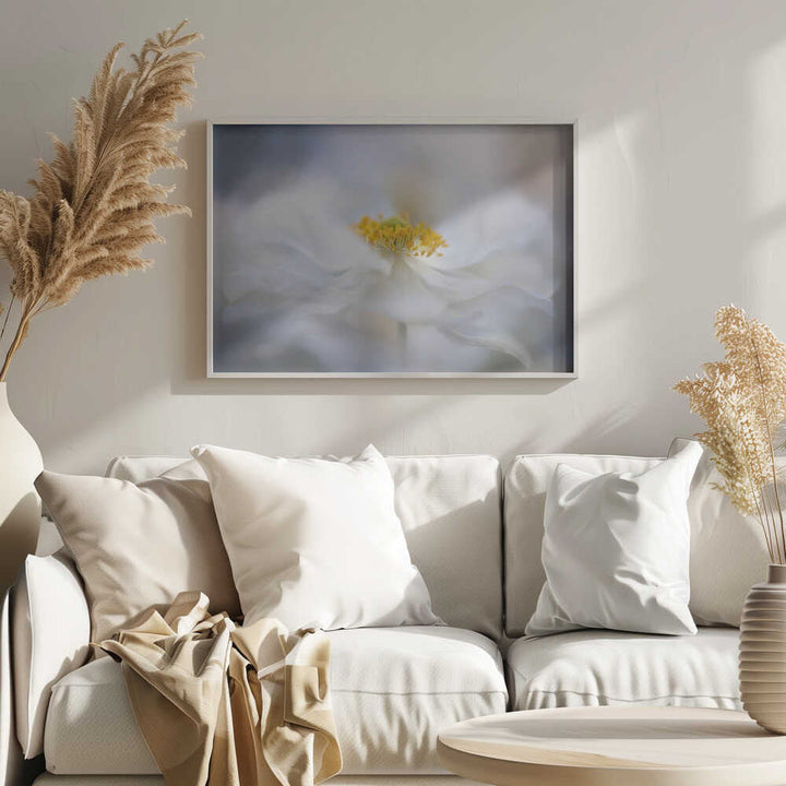 Soft White Bloom - Stretched Canvas Poster or Fine Art Print