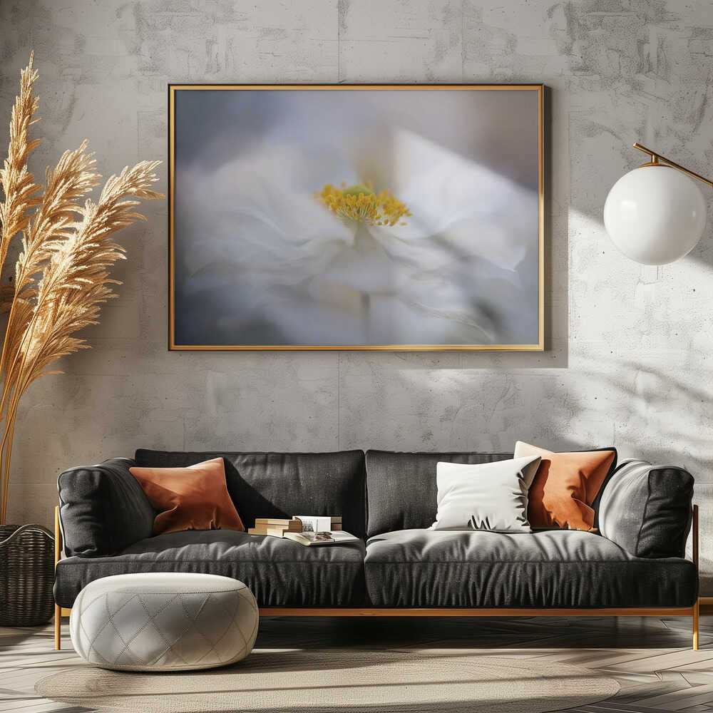 Soft White Bloom - Stretched Canvas Poster or Fine Art Print