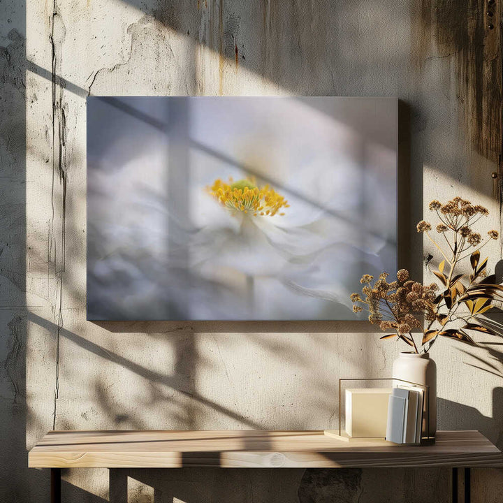 Soft White Bloom - Stretched Canvas Poster or Fine Art Print