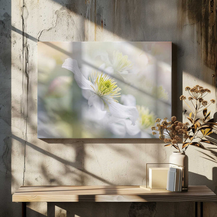 Soft White Clematis - Floral Photographic Stretched Canvas Poster or Fine Art Print