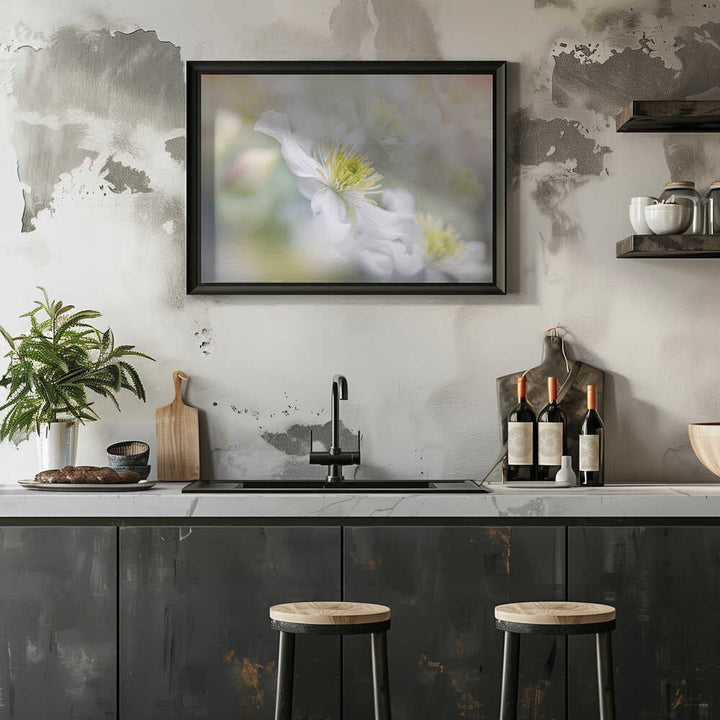 Soft White Clematis - Floral Photographic Stretched Canvas Poster or Fine Art Print