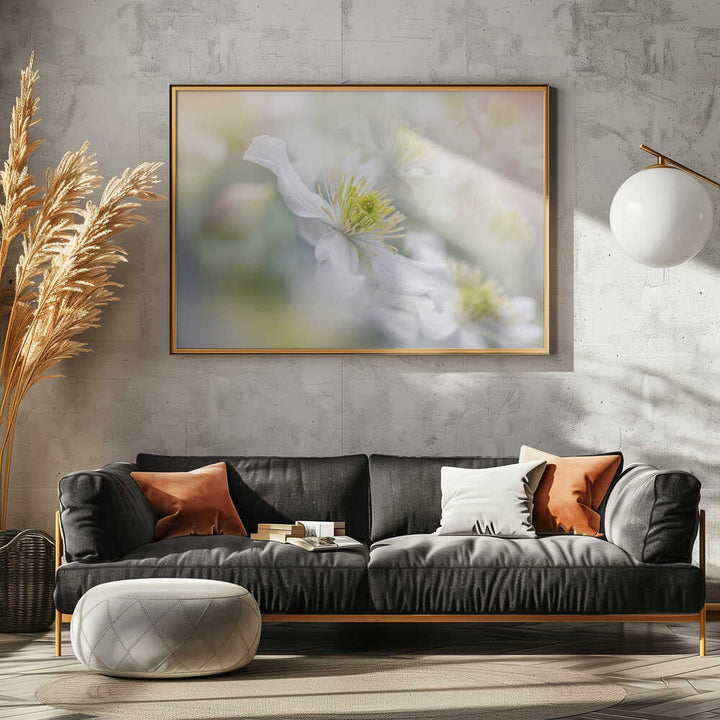 Soft White Clematis - Floral Photographic Stretched Canvas Poster or Fine Art Print