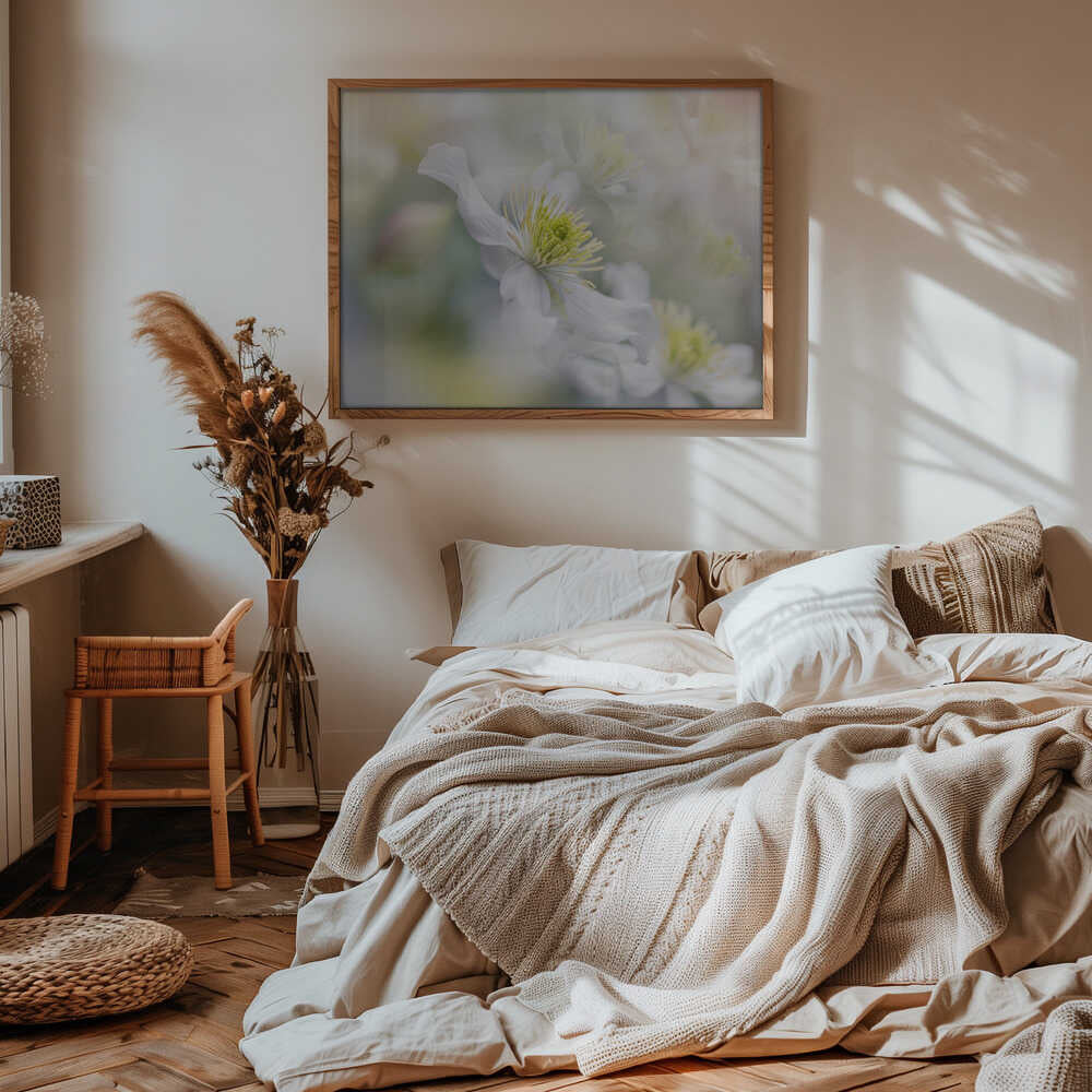 Soft White Clematis - Floral Photographic Stretched Canvas Poster or Fine Art Print