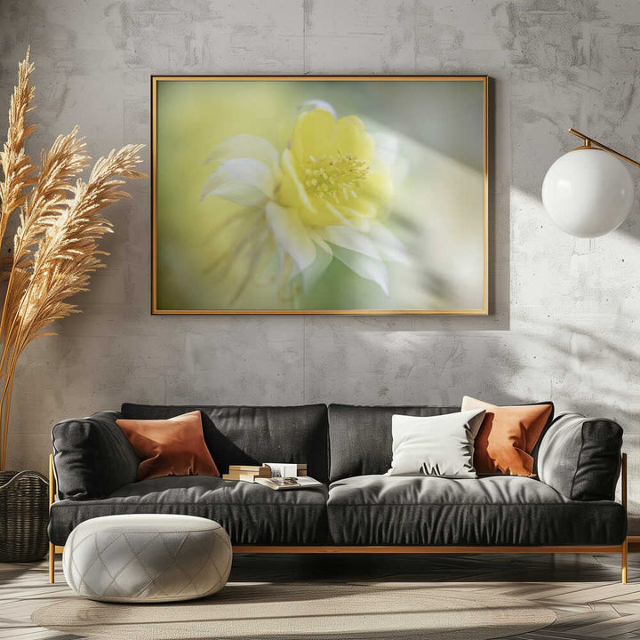 Soft Yellow Bloom - Floral Photographic Stretched Canvas Poster or Fine Art Print