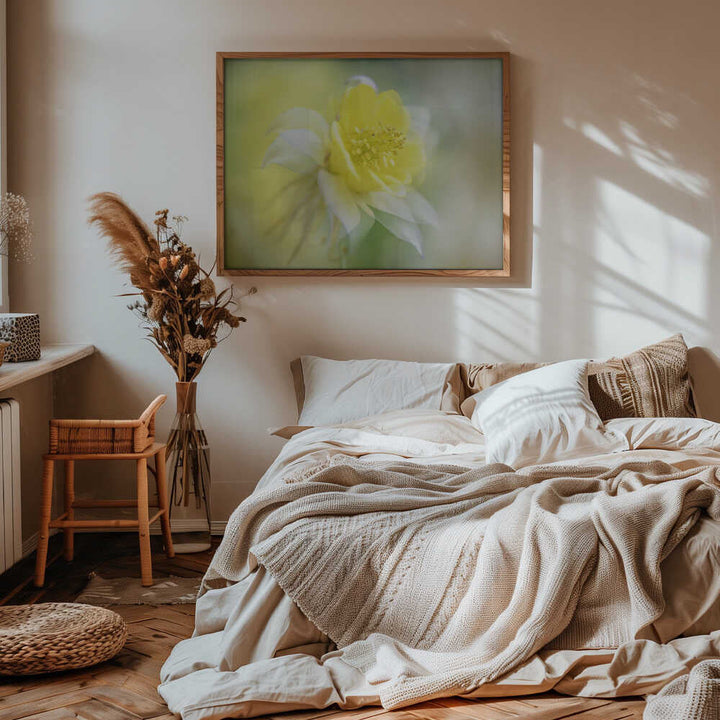 Soft Yellow Bloom - Floral Photographic Stretched Canvas Poster or Fine Art Print