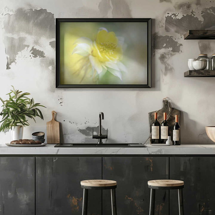Soft Yellow Bloom - Floral Photographic Stretched Canvas Poster or Fine Art Print