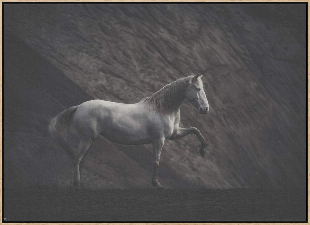 SOLITAIRE - Stretched Canvas, Poster or Fine Art Print I Heart Wall Art
