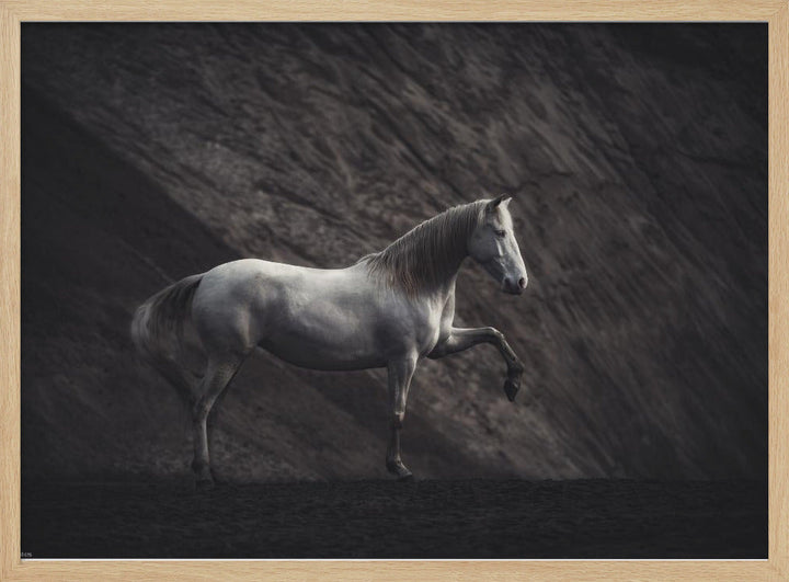 SOLITAIRE - Stretched Canvas, Poster or Fine Art Print I Heart Wall Art