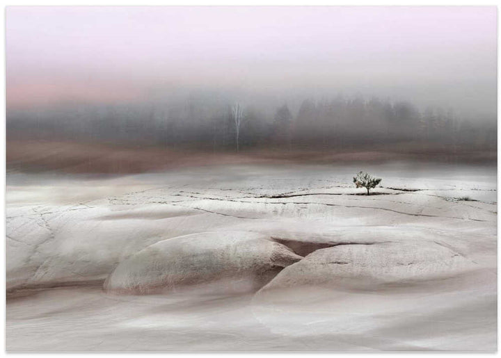 Solitude in White - Stretched Canvas, Poster or Fine Art Print - I Heart Wall Art - Poster Print, Canvas Print or Framed Art Print