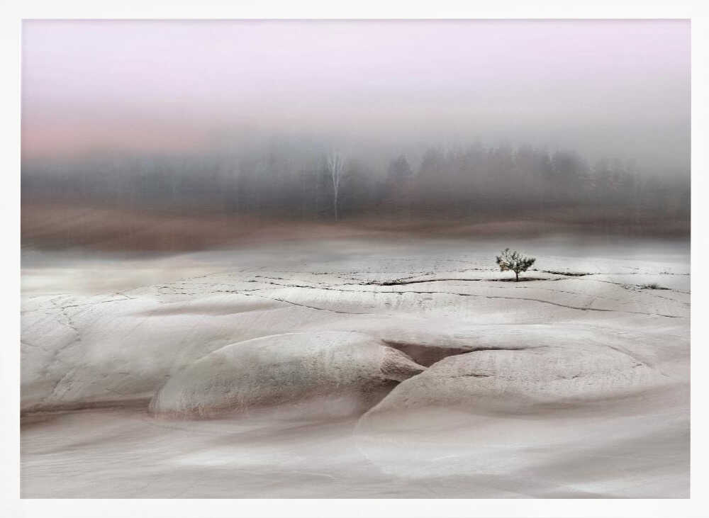 Solitude in White - Stretched Canvas, Poster or Fine Art Print - I Heart Wall Art - Poster Print, Canvas Print or Framed Art Print