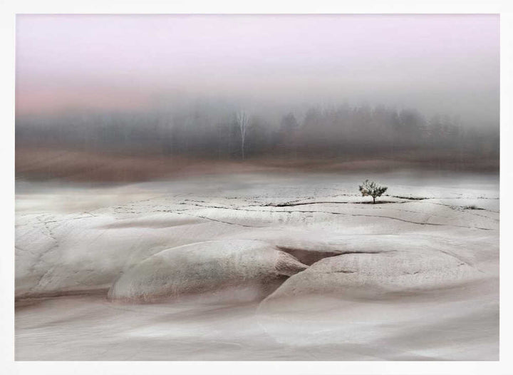 Solitude in White - Stretched Canvas, Poster or Fine Art Print - I Heart Wall Art - Poster Print, Canvas Print or Framed Art Print