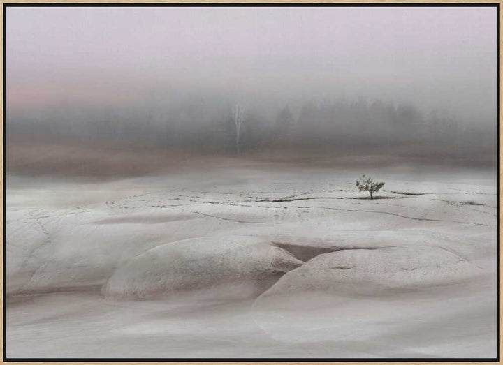 Solitude in White - Stretched Canvas, Poster or Fine Art Print - I Heart Wall Art - Poster Print, Canvas Print or Framed Art Print