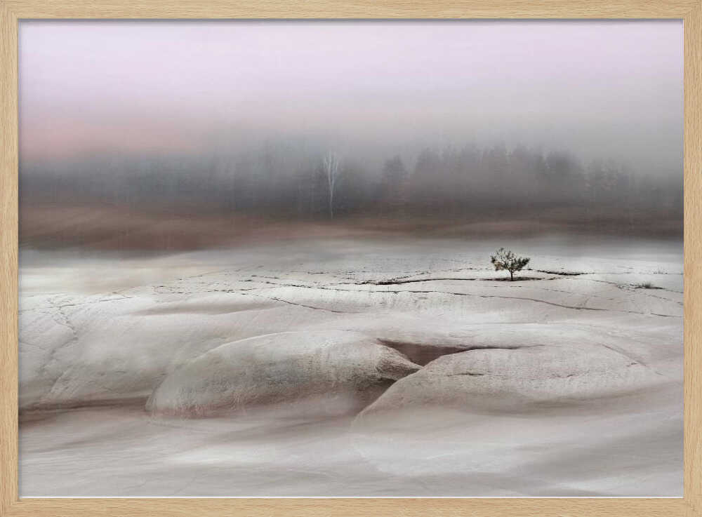 Solitude in White - Stretched Canvas, Poster or Fine Art Print - I Heart Wall Art - Poster Print, Canvas Print or Framed Art Print
