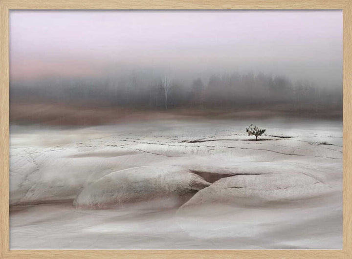 Solitude in White - Stretched Canvas, Poster or Fine Art Print - I Heart Wall Art - Poster Print, Canvas Print or Framed Art Print