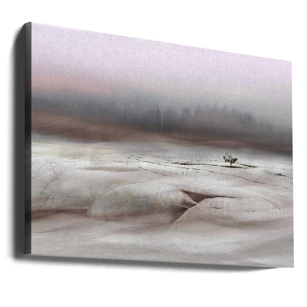 Solitude in White - Stretched Canvas, Poster or Fine Art Print - I Heart Wall Art - Poster Print, Canvas Print or Framed Art Print