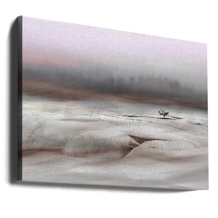Solitude in White - Stretched Canvas, Poster or Fine Art Print - I Heart Wall Art - Poster Print, Canvas Print or Framed Art Print
