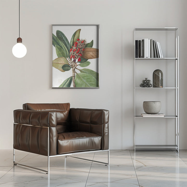 Southern Magnolia (1923) - Stretched Canvas, Poster or Fine Art Print I Heart Wall Art