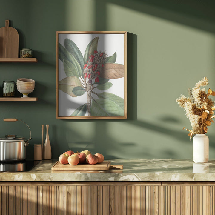 Southern Magnolia (1923) - Stretched Canvas, Poster or Fine Art Print I Heart Wall Art