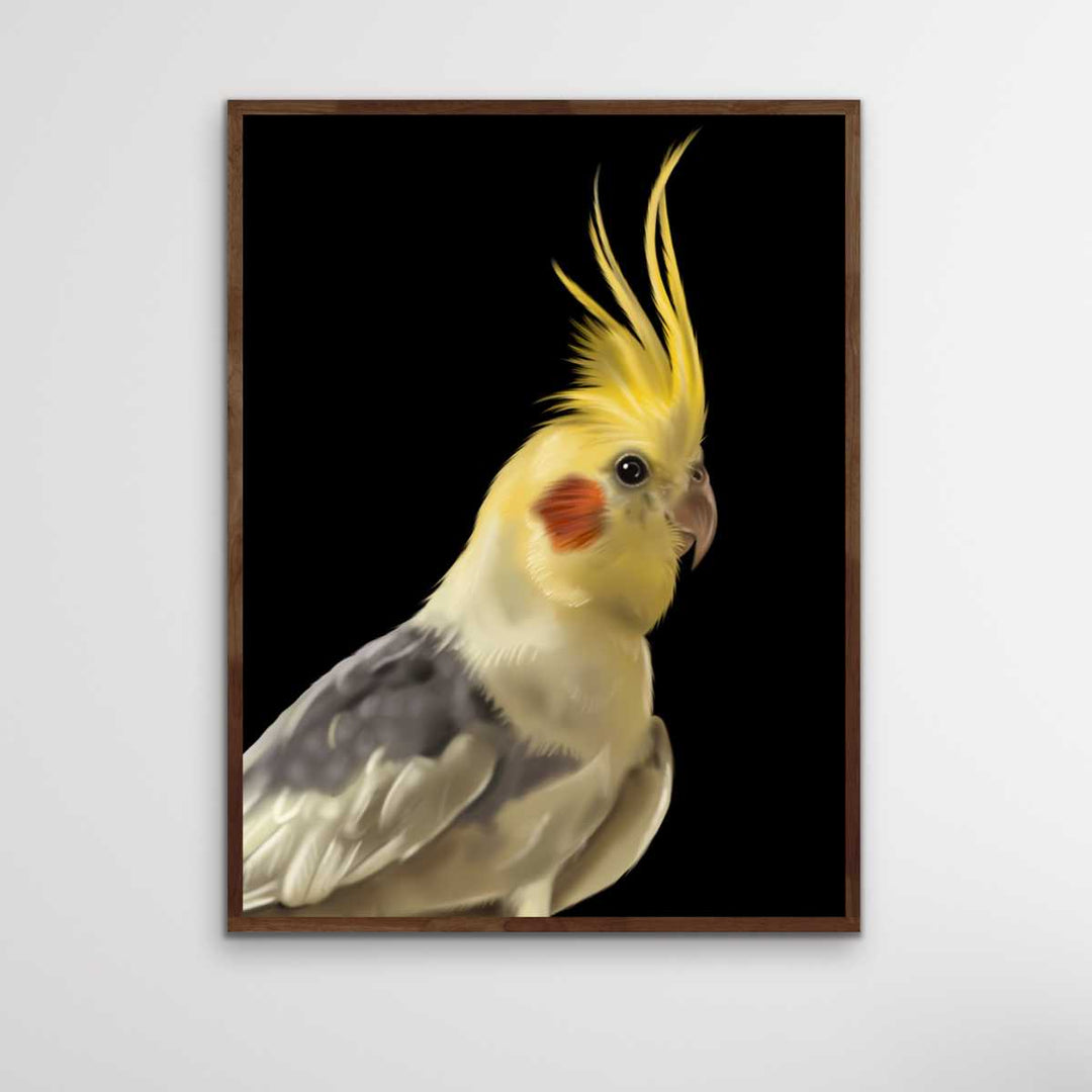 Spencer The Cockatiel - Spencer The Cockatiel Wall Art Print Stretched Canvas Wall Art I Heart Wall Art Australia 