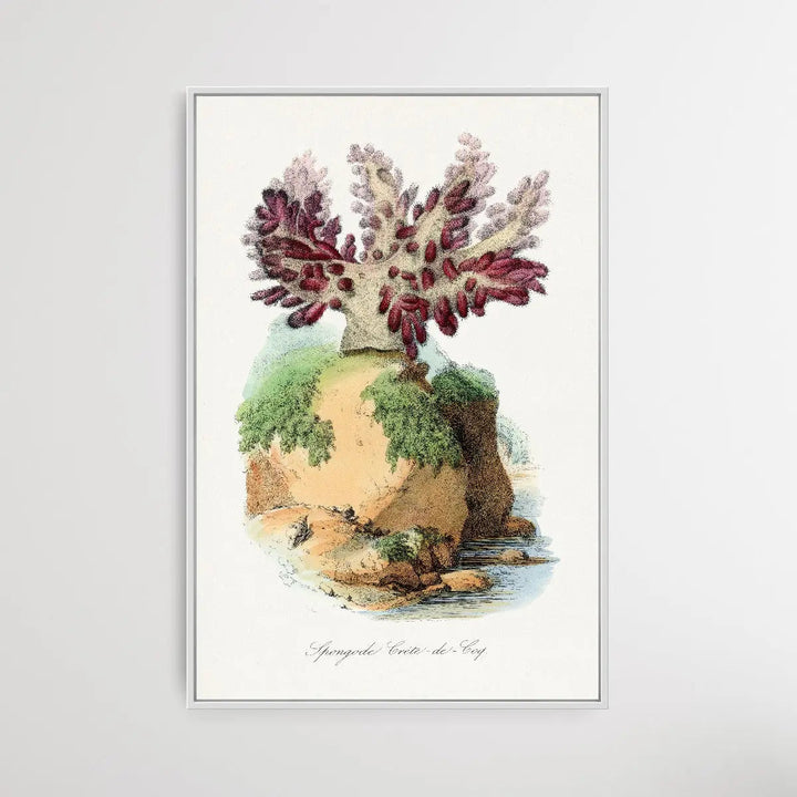 Spongode Coral by Paul Gervais - I Heart Wall Art