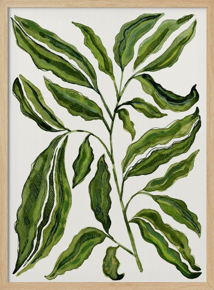 Sprig Of Leaves - Stretched Canvas, Poster or Fine Art Print - I Heart Wall Art - Poster Print, Canvas Print or Framed Art Print