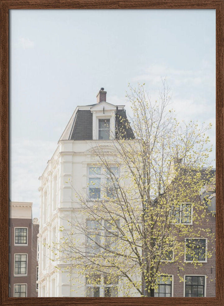 Spring In Amsterdam - Stretched Canvas, Poster or Fine Art Print I Heart Wall Art