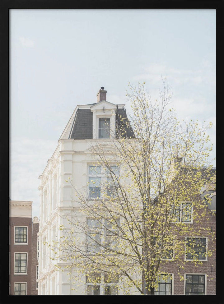 Spring In Amsterdam - Stretched Canvas, Poster or Fine Art Print I Heart Wall Art