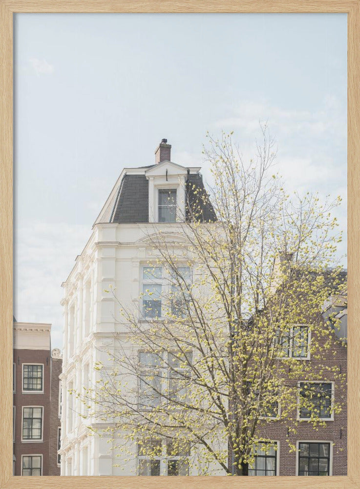 Spring In Amsterdam - Stretched Canvas, Poster or Fine Art Print I Heart Wall Art