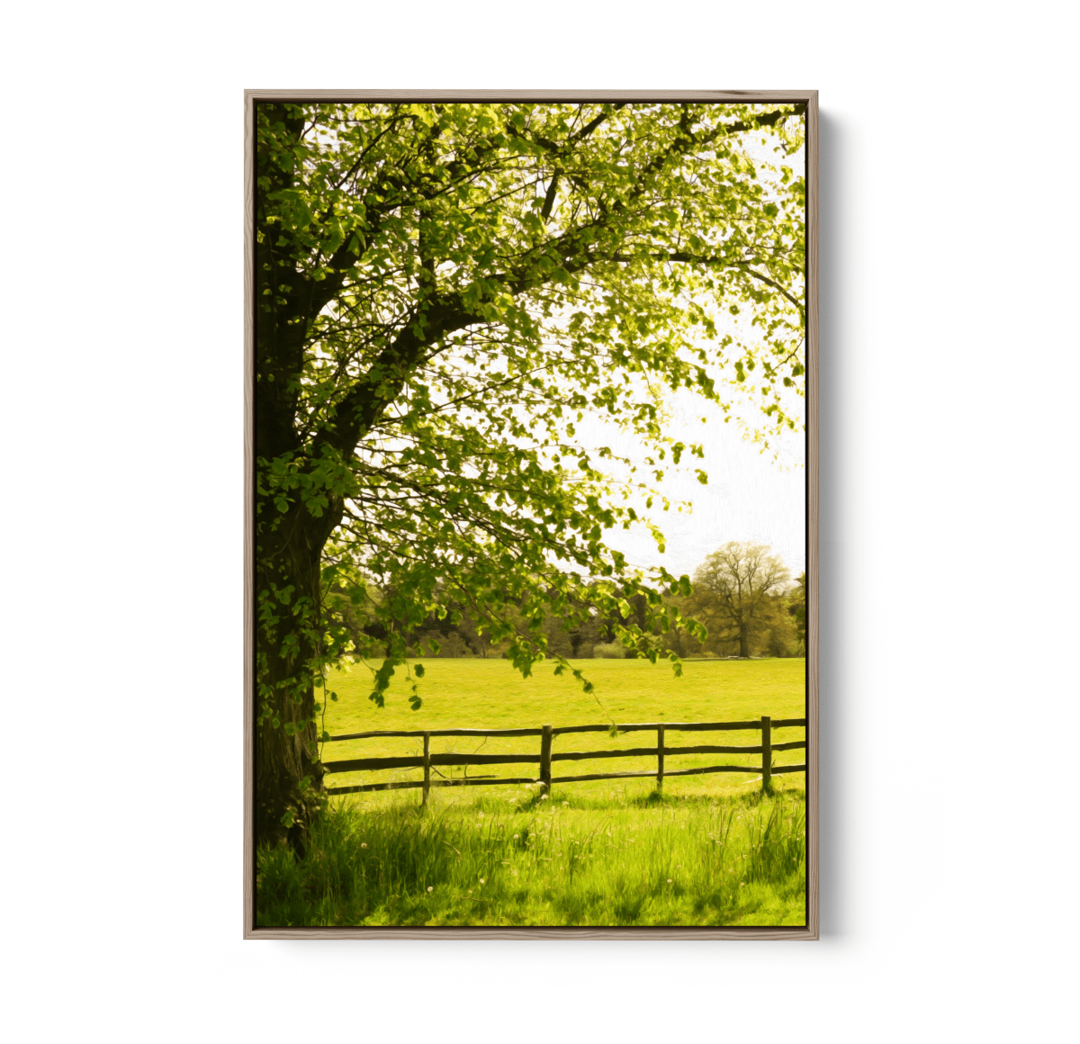 Spring Morning - Nature in Countryside Stretched Canvas or Wall Art Print - I Heart Wall Art - Poster Print, Canvas Print or Framed Art Print