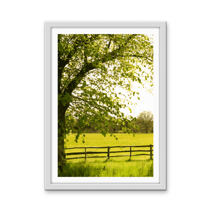 Spring Morning - Nature in Countryside Stretched Canvas or Wall Art Print - I Heart Wall Art - Poster Print, Canvas Print or Framed Art Print