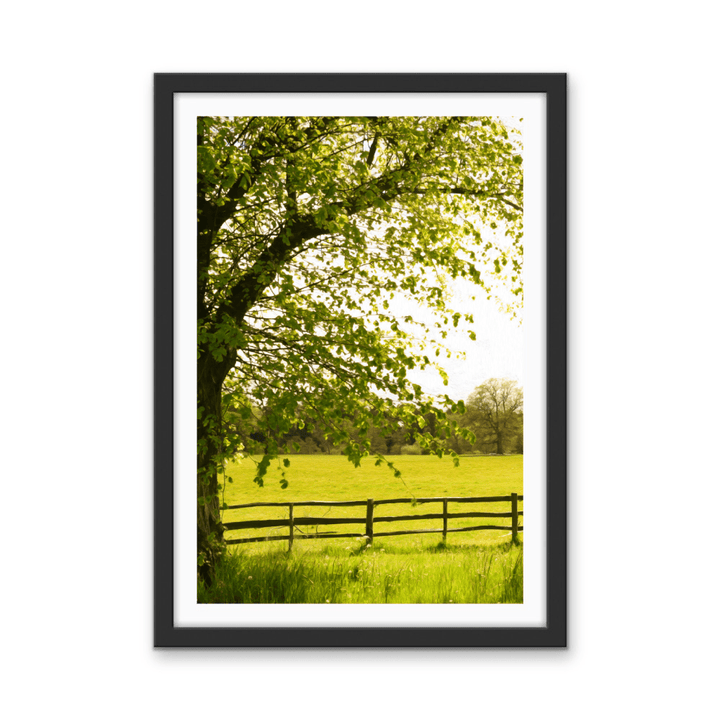 Spring Morning - Nature in Countryside Stretched Canvas or Wall Art Print - I Heart Wall Art - Poster Print, Canvas Print or Framed Art Print