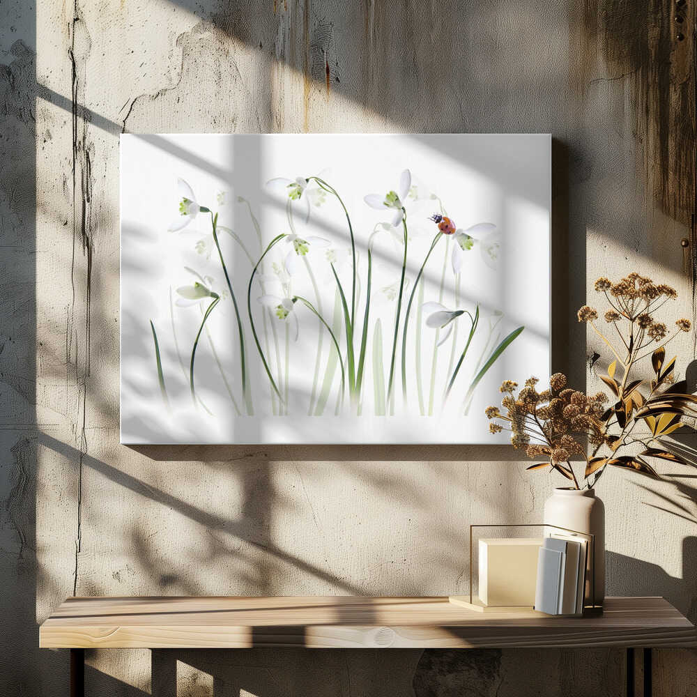 Spring Snowdrops Ladybug - Floral Photographic Stretched Canvas Poster or Fine Art Print