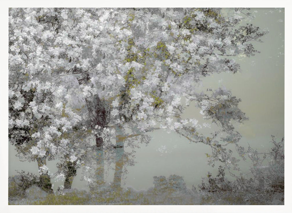 Spring - Stretched Canvas, Poster or Fine Art Print I Heart Wall Art